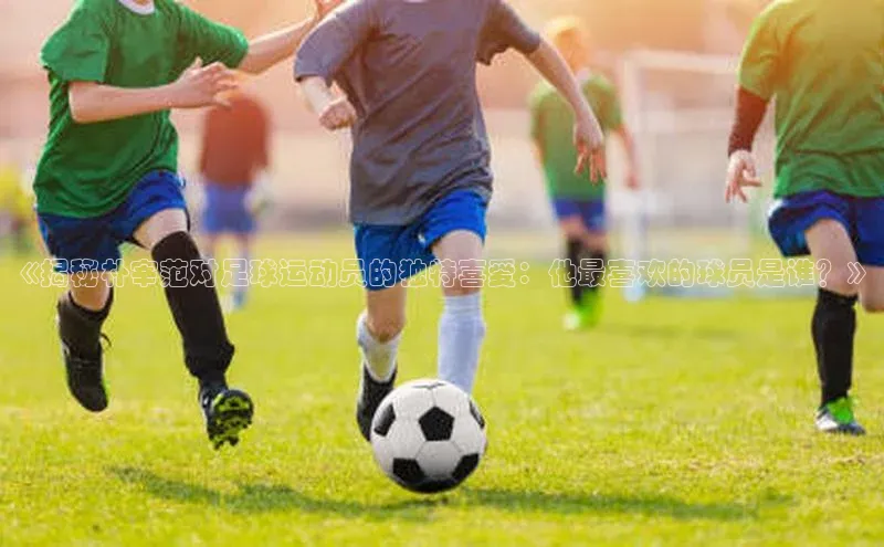 半岛·体育bob官方网站官网百度智能云《揭秘朴宰范对足球运动员的独特喜爱：他最喜欢的球员是谁？》