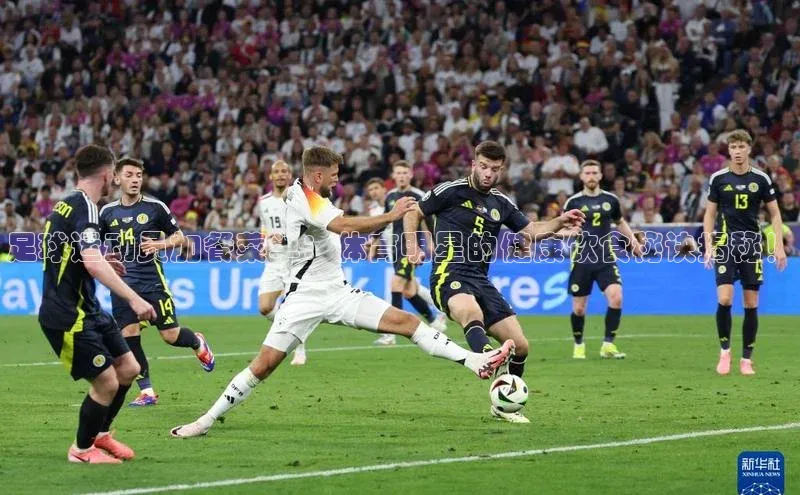 半岛·体育bob官方网华策影视足球运动员加餐菜单：体育明星的健康饮食秘诀揭秘！