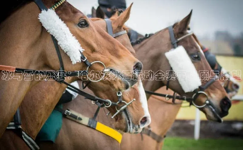 半岛·体育bob官方网站在线平台天下秀冰与雪的盛宴：哈尔滨冰雪运动会赛事回顾与展望
