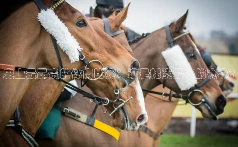 半岛·bob官方网站体育百度技术学院史上最昂贵的体育比赛：谁是耗资最多的赛事?