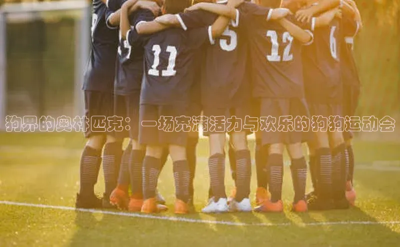 狗界的奥林匹克：一场充满活力与欢乐的狗狗运动会
