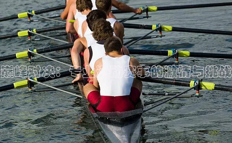 巅峰对决：专业运动赛事的激情与挑战