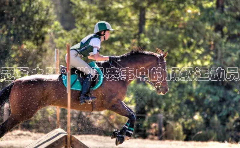 冠军之路：世界赛事中的顶级运动员