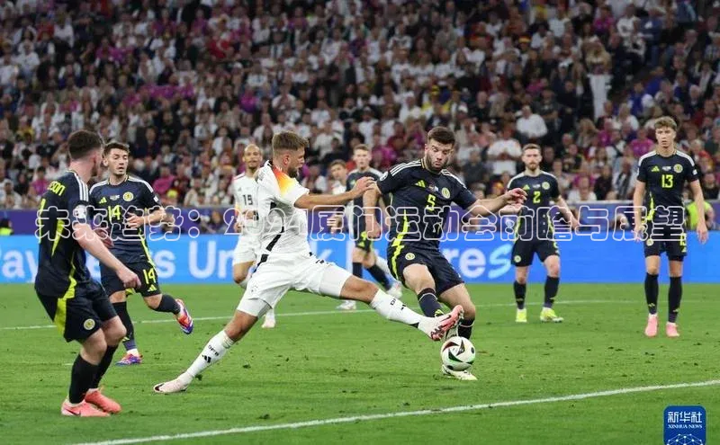 未来趋势：2024厦门运动会前瞻与展望