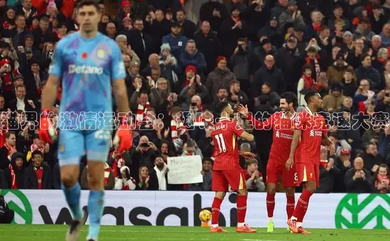 猫界的激情运动会：趣味十足的猫咪竞速大赛