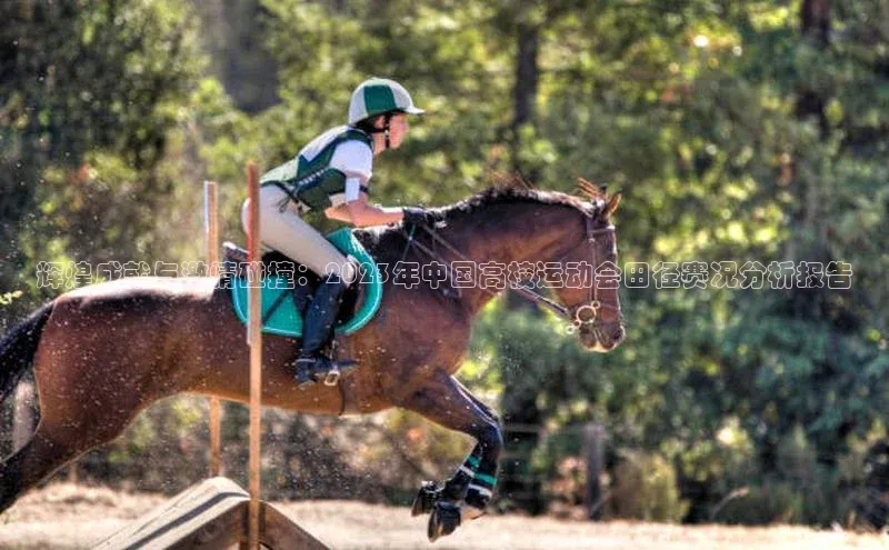 辉煌成就与激情碰撞：2023年中国高校运动会田径赛况分析报告