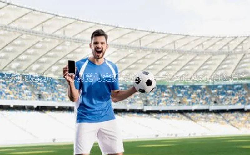 运动的魅力：一场视觉与竞技的盛宴——运动会赛事策划指南