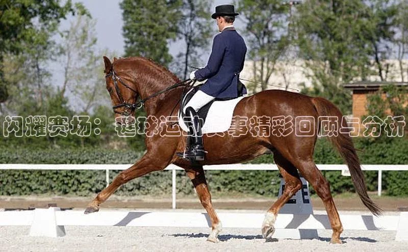 闪耀赛场：毽球运动赛事精彩回顾与分析