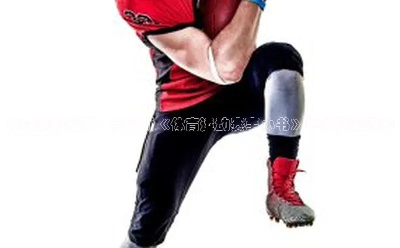 体育迷的指南：与分析《体育运动赛事小书》中的精彩瞬间