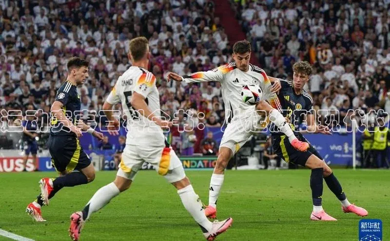 运动赛事百科全书：从起源到现代的