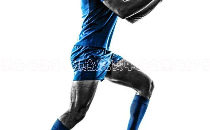 拳击与格斗：顶级比赛中的力量与技巧