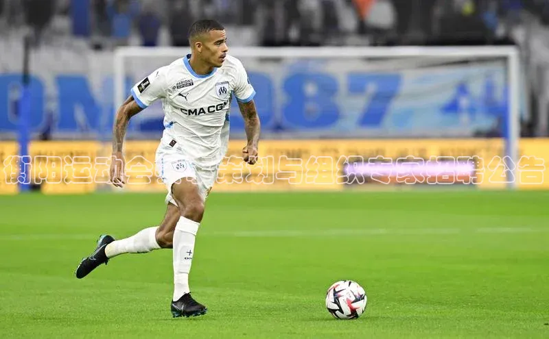 衡阳运动会赛事策划与组织专家招聘公告