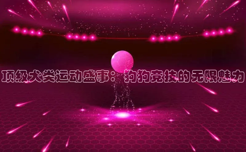 bob半岛·体育官方平台