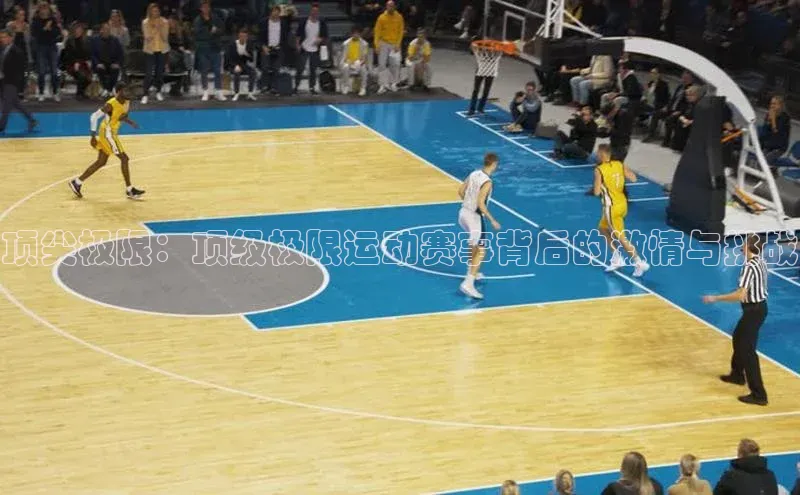 半岛·体育官网入口