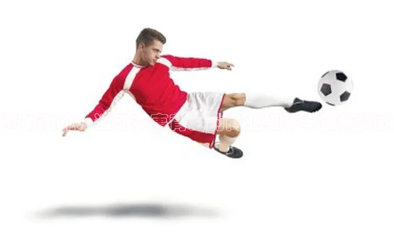 BOB半岛官方网站入口