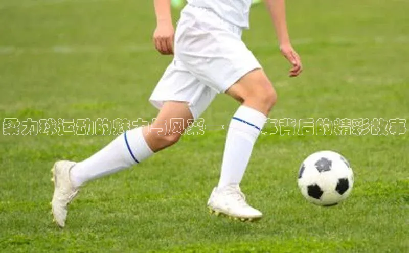 柔力球运动的魅力与风采——赛事背后的精彩故事