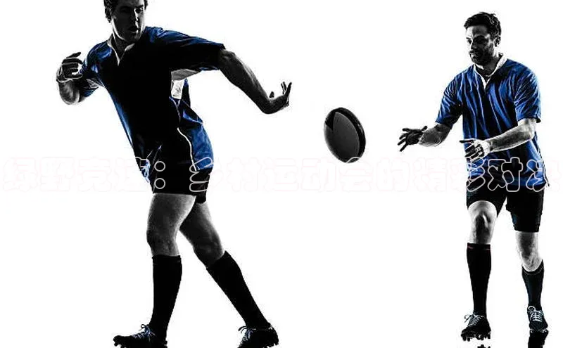 绿野竞速：乡村运动会的精彩对决